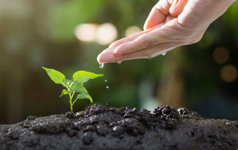 How Does Plant-Ditech's PlantArray System Work and What Are Its Advantages?